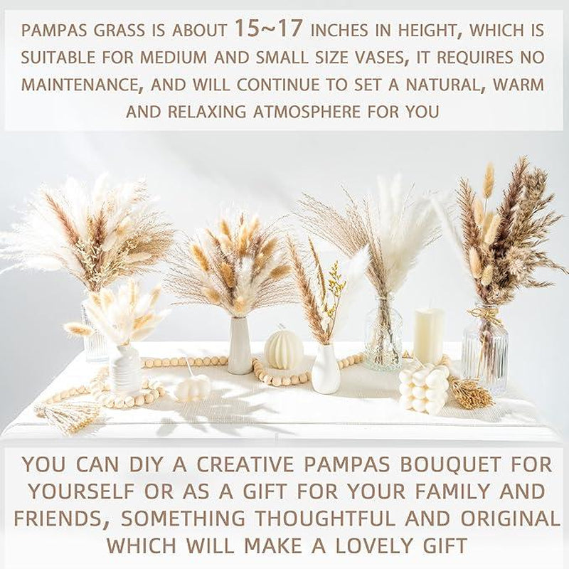 70PCS Natural Dried Pampas Grass Boho Home Decor Bouquet Phragmites Dried Flowers Bouquet for Wedding Floral Arrangements Home Decorations