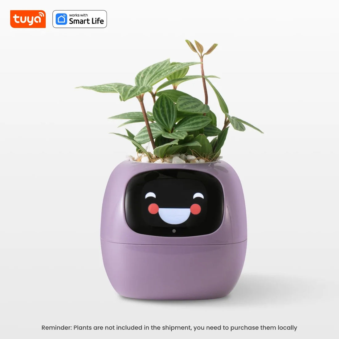 Tuya Ivy Smart Planter: 49+ Expressions, 7 Smart Sensors, and AI Technology for Effortless Plant Care