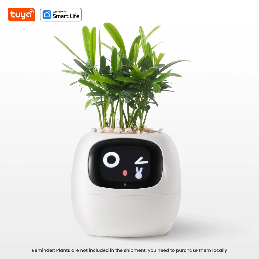 Tuya Ivy Smart Planter: 49+ Expressions, 7 Smart Sensors, and AI Technology for Effortless Plant Care