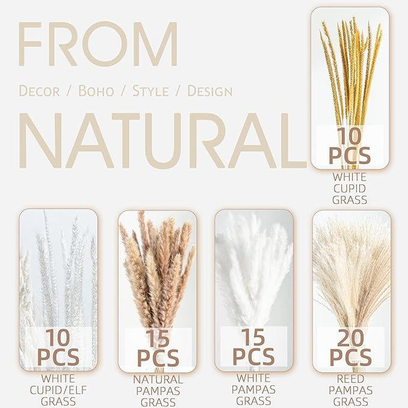 70PCS Natural Dried Pampas Grass Boho Home Decor Bouquet Phragmites Dried Flowers Bouquet for Wedding Floral Arrangements Home Decorations