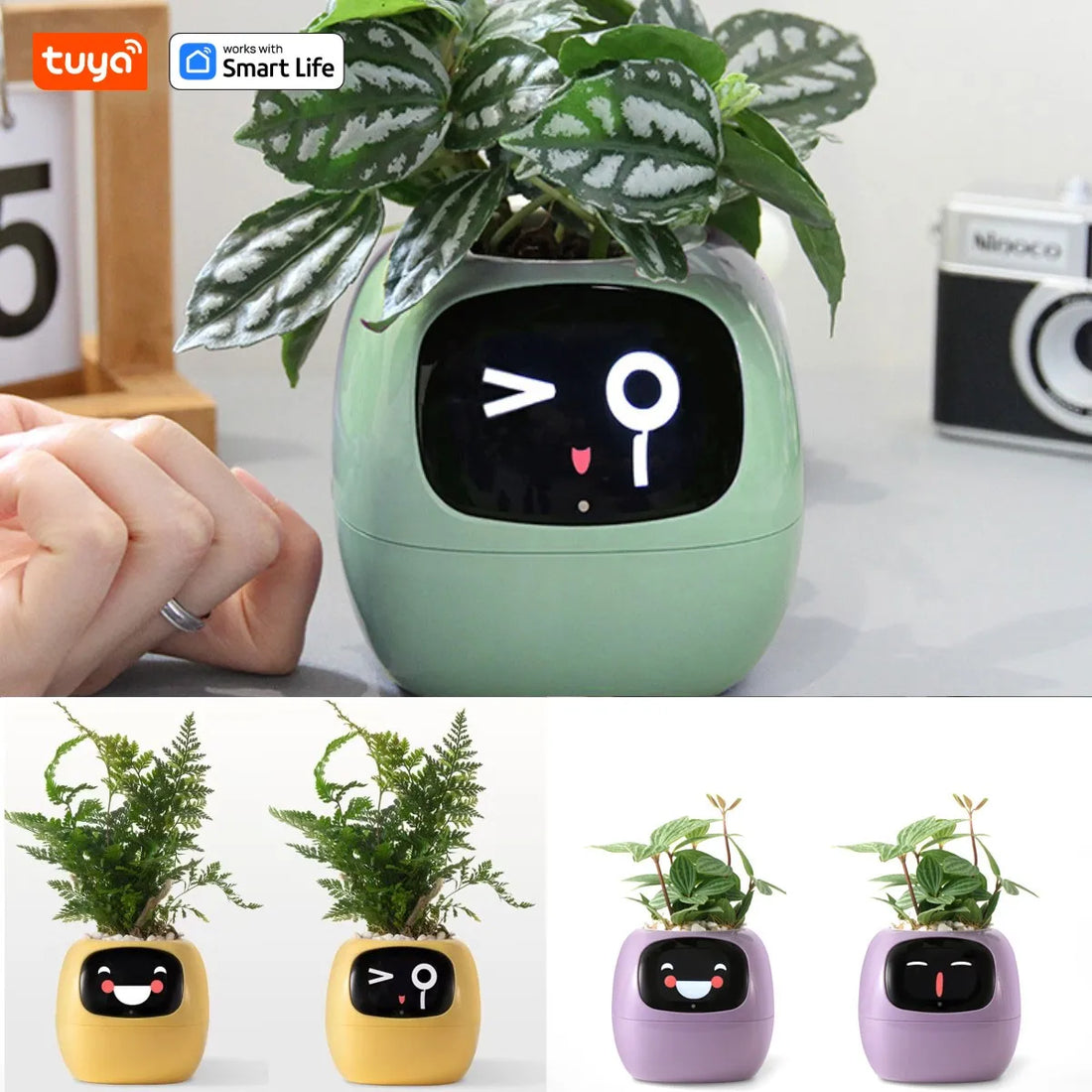 Tuya Ivy Smart Planter: 49+ Expressions, 7 Smart Sensors, and AI Technology for Effortless Plant Care