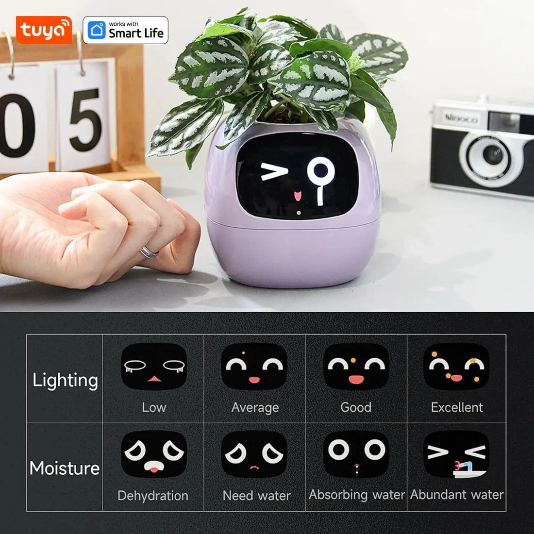 Tuya Ivy Smart Planter: 49+ Expressions, 7 Smart Sensors, and AI Technology for Effortless Plant Care